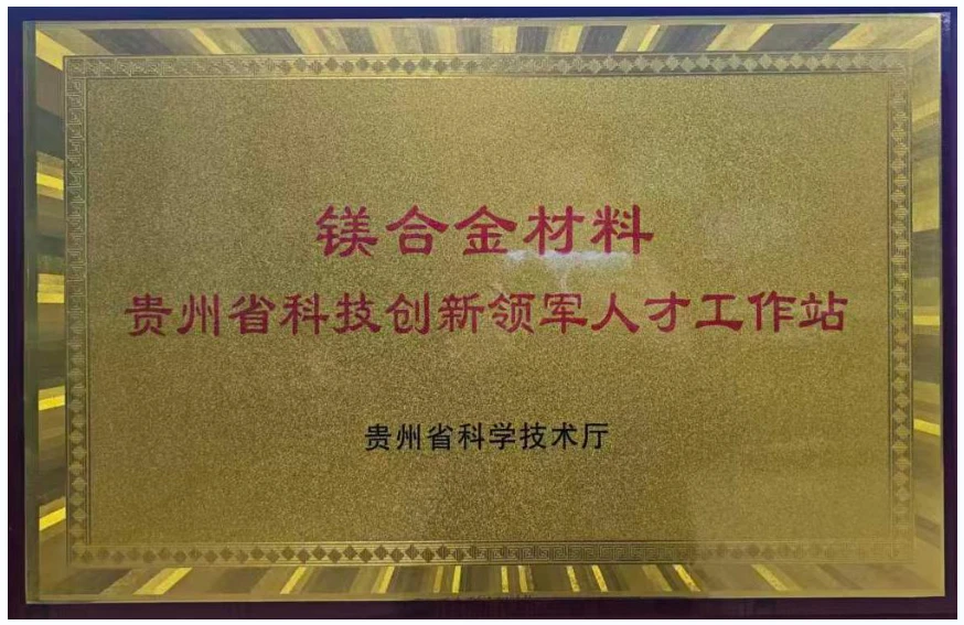 镁合金材料科技创新领军人才工作站证书